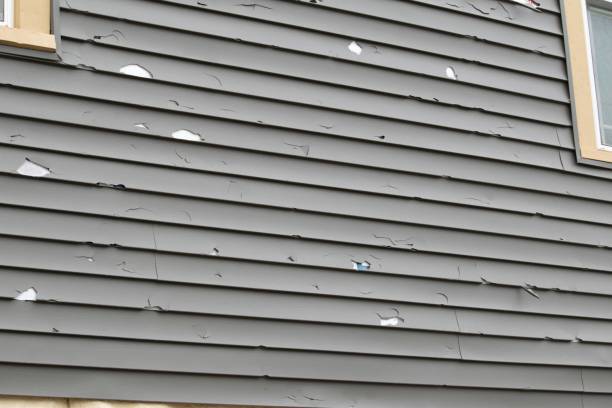 Best Shed Removal  in Waverly, NE